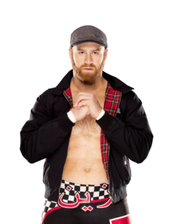 Sami Zayn